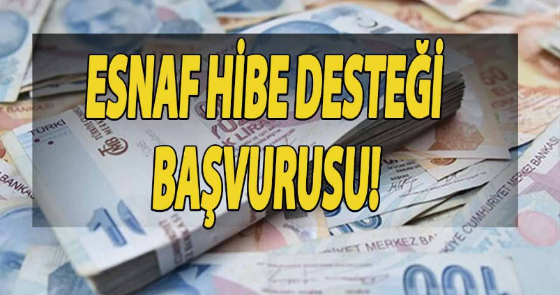 Hibe Desteği Hakkında Ki Taleplerimiz