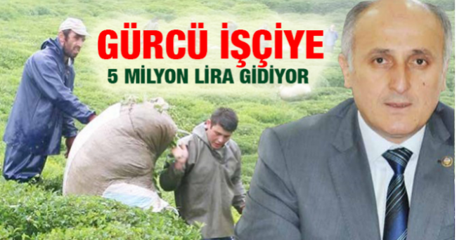 Rize`de Gürcü İşçiye 5 Milyon Lira Gidiyor